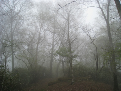 c0077338_22201331.jpg