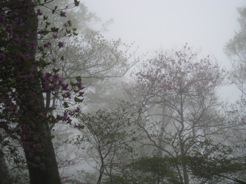c0077338_22204111.jpg