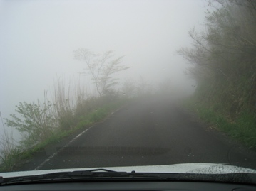 c0077338_22211137.jpg