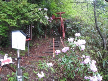 c0077338_2261561.jpg