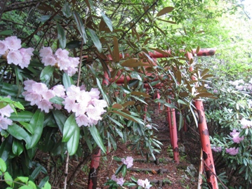 c0077338_2271546.jpg