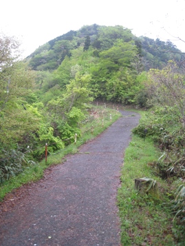 c0077338_227158.jpg