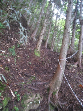 c0077338_22738100.jpg