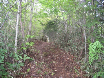 c0077338_2275167.jpg