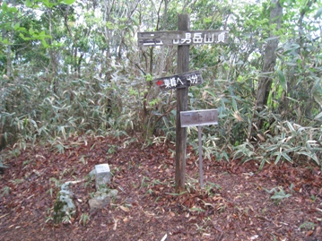 c0077338_2281014.jpg