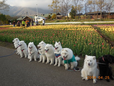 サモと行く九州旅行 2014♪_f0172840_09433.jpg