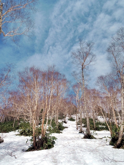 絶景！野反湖展望の三壁山_b0122448_18679.jpg