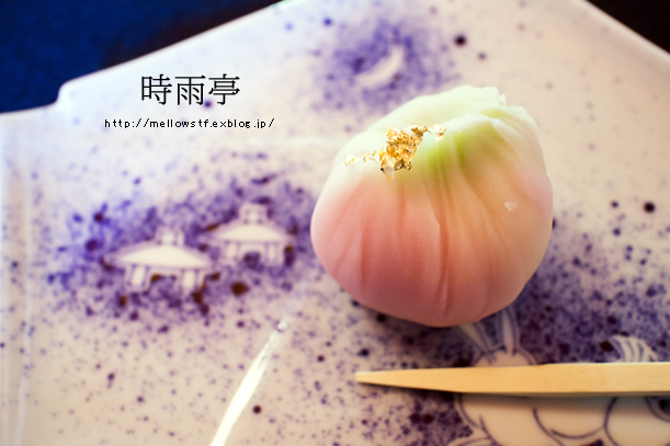 金沢・能登旅行 GW 2014 兼六園 -時雨亭-_d0124248_22480175.jpg