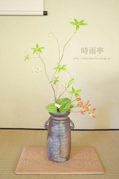 金沢・能登旅行 GW 2014 兼六園 -時雨亭-_d0124248_22482634.jpg