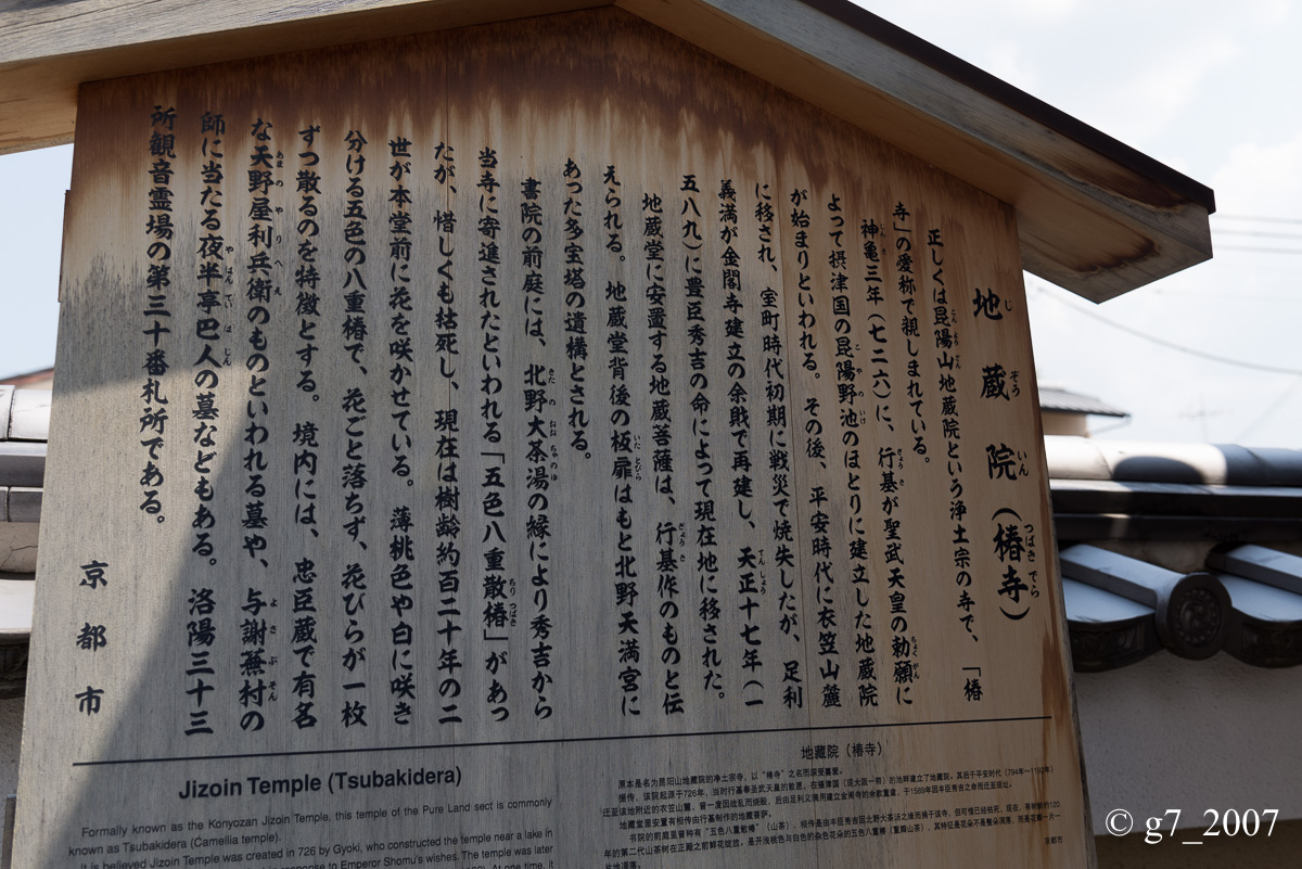 地蔵院(椿寺)..._f0152550_2311250.jpg