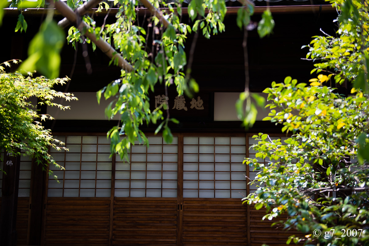 地蔵院(椿寺)..._f0152550_2314172.jpg