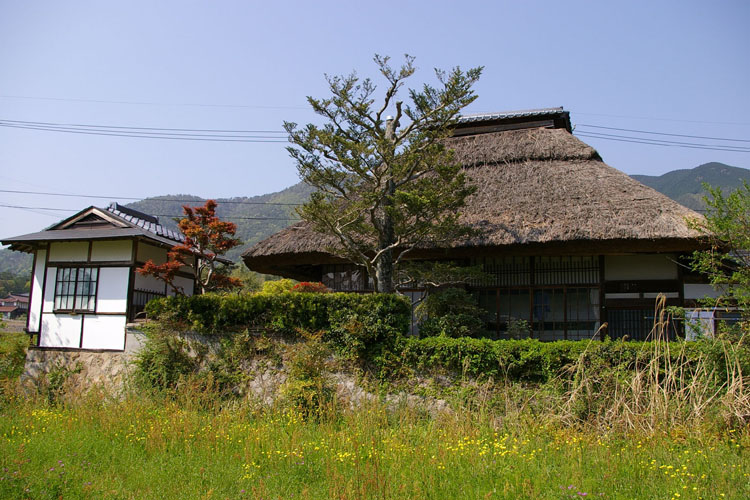 d0328255_225220100.jpg