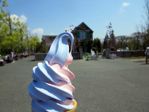 【浜名湖花博2014ガーデンパーク】美味しいローズとラベンダーのソフト_c0042960_16545022.jpg