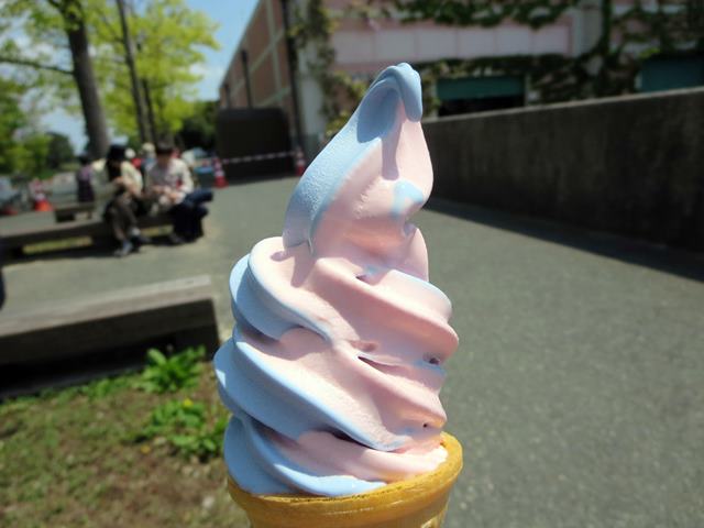 【浜名湖花博2014ガーデンパーク】美味しいローズとラベンダーのソフト_c0042960_1655211.jpg