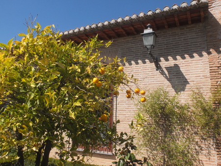 d0193569_1221354.jpg