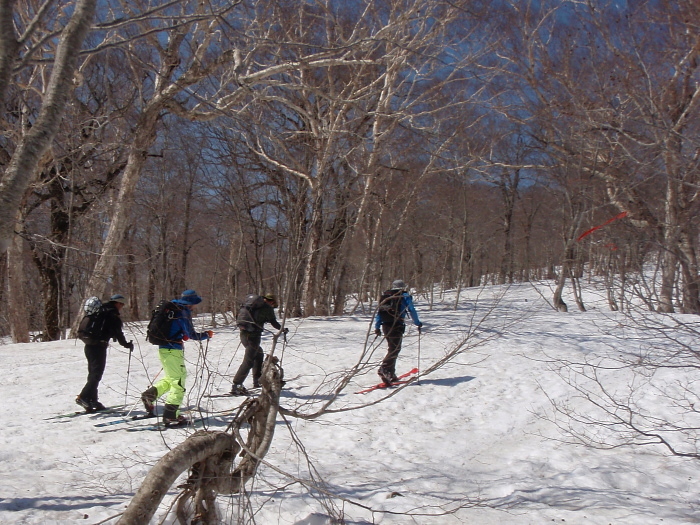 若い衆と登って滑る至仏山_e0292469_1815034.jpg