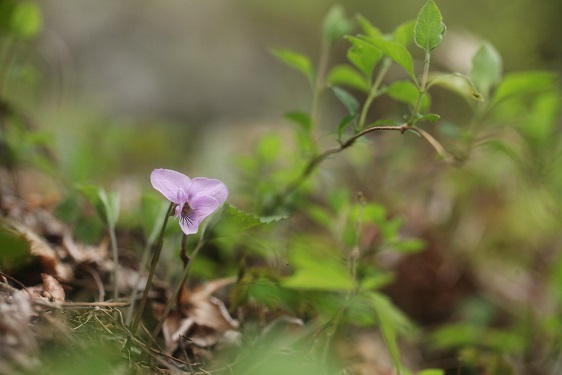 e0304170_20562996.jpg