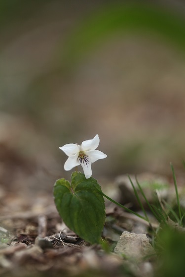 e0304170_213522100.jpg