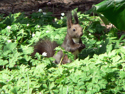 f0083977_9592736.jpg