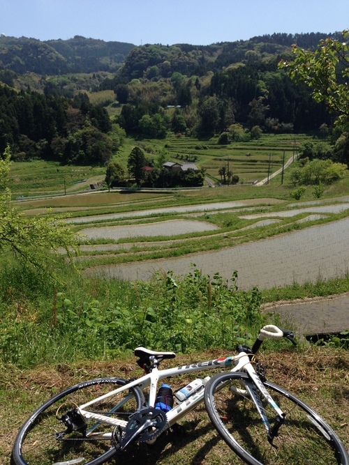 大山千枚田をみに行く。_c0205379_21125822.jpg