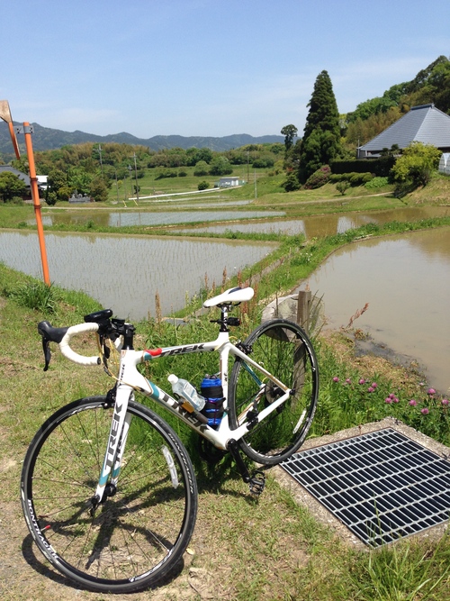 大山千枚田をみに行く。_c0205379_21155783.jpg