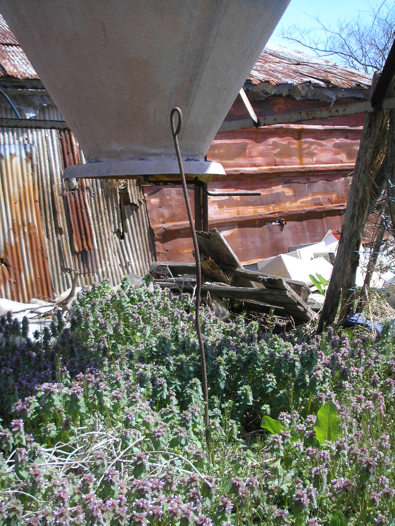 b0192980_13507.jpg
