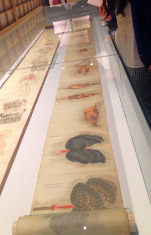 国立科学博物館「医は仁術展」 その1_a0163788_20503719.jpg