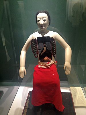 国立科学博物館「医は仁術展」 その1_a0163788_20522191.jpg