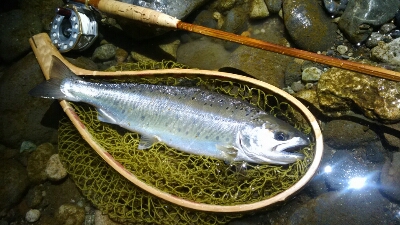 f0166390_11455499.jpg
