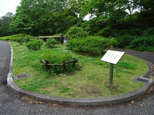 d0099791_22112037.jpg