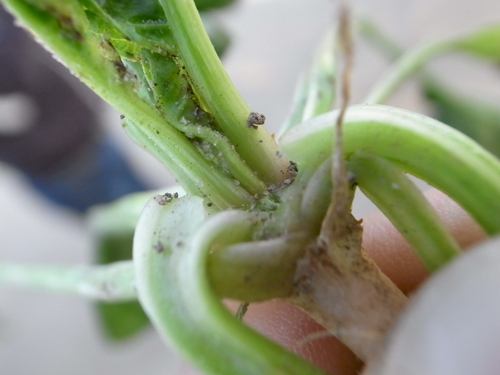b0201492_22113410.jpg