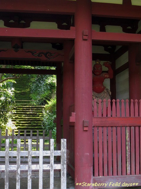 c0087094_2035019.jpg