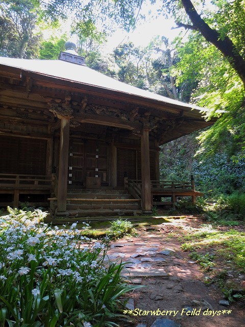 c0087094_20403031.jpg