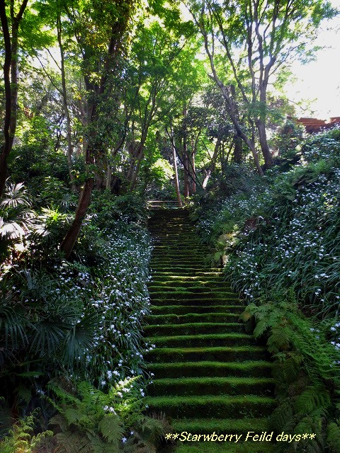 c0087094_20485069.jpg