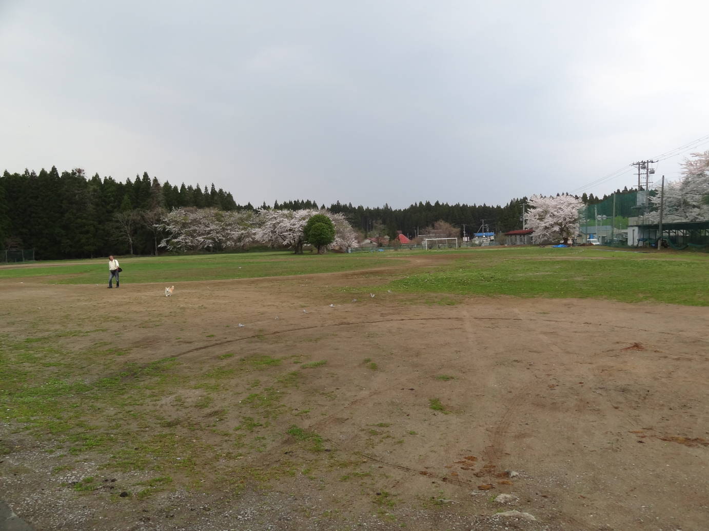 f0075595_215226.jpg