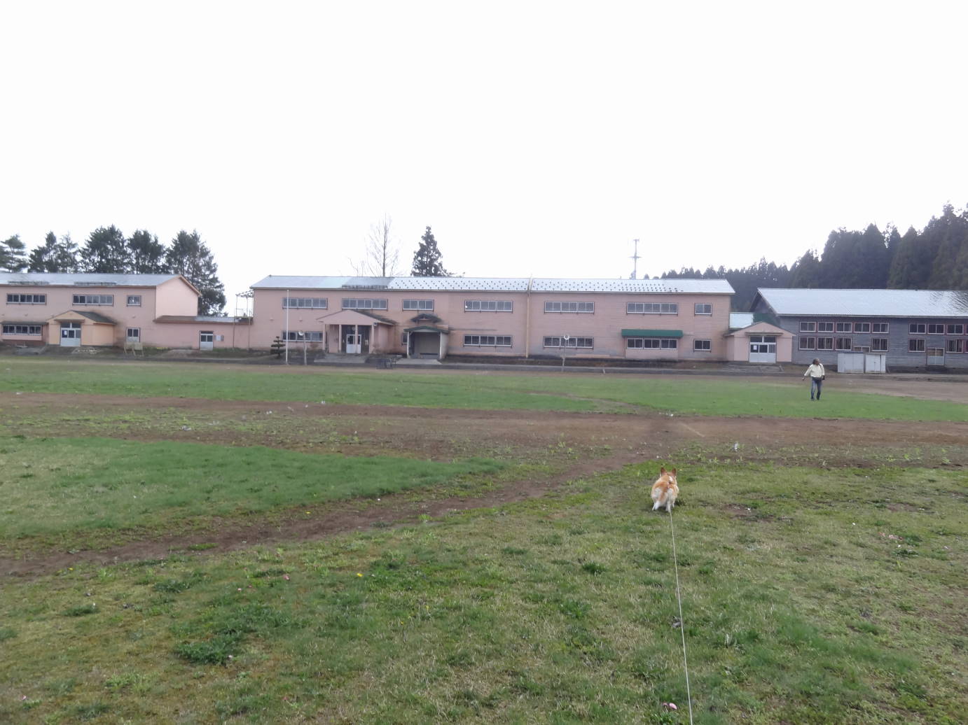 f0075595_221780.jpg