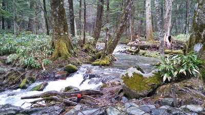 d0150596_20194649.jpg