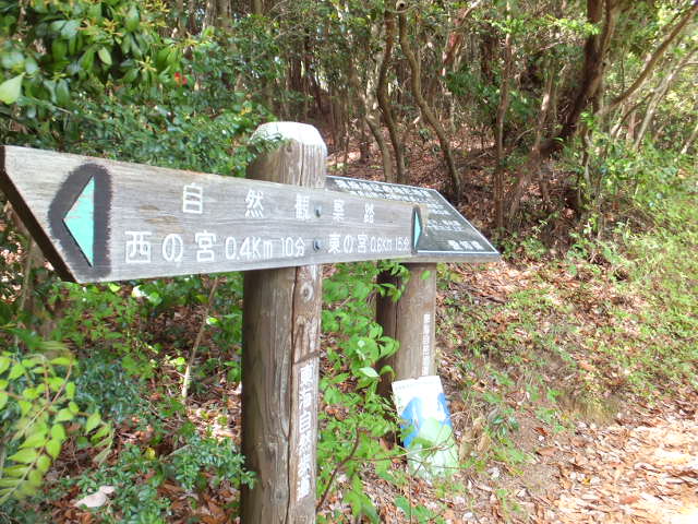 猿投山（さなげやま）　～西の宮、山頂、下山～_a0271502_17112188.jpg