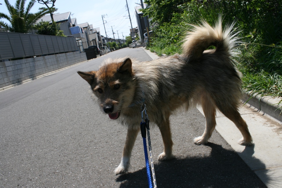 はじめまして!(望)_f0242002_22101431.jpg