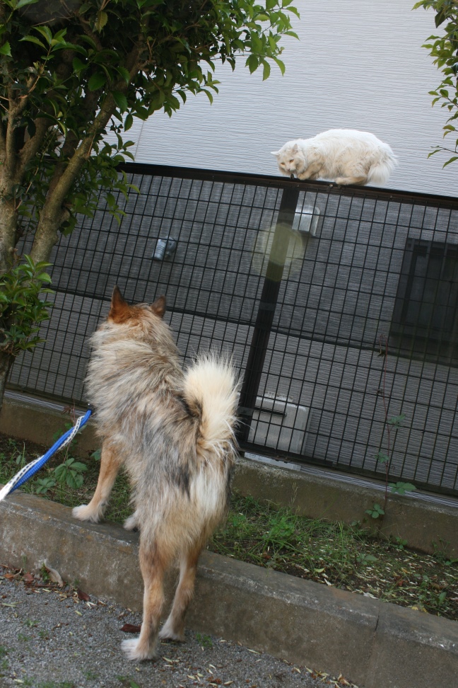 はじめまして!(望)_f0242002_22123645.jpg