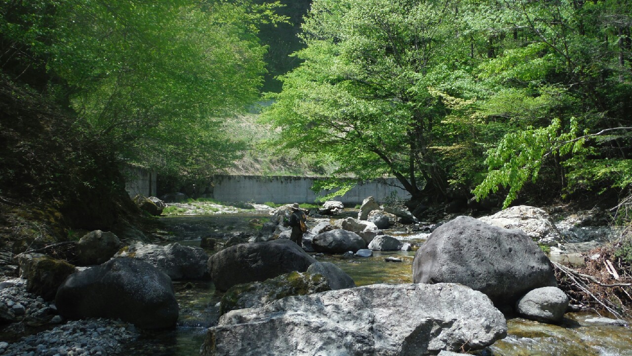 b0172805_31153.jpg