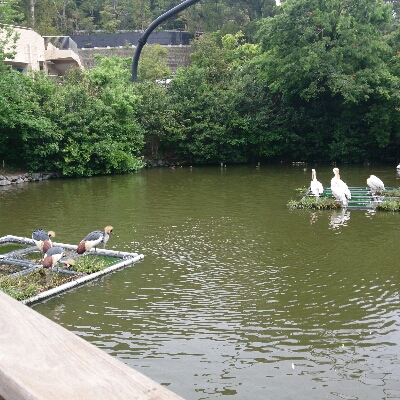 f0148410_21265610.jpg
