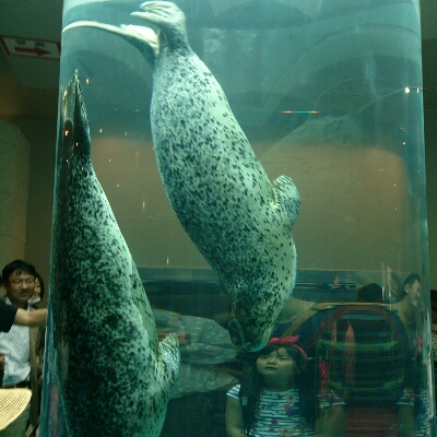 f0148410_21325068.jpg