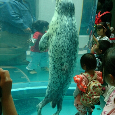 f0148410_21325388.jpg