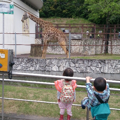 f0148410_21363735.jpg