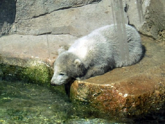 a0151913_9175536.jpg