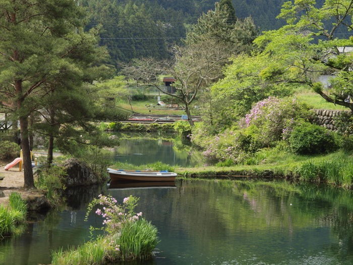 湯来つり堀_c0116915_23444059.jpg