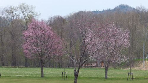 b0300818_128943.jpg