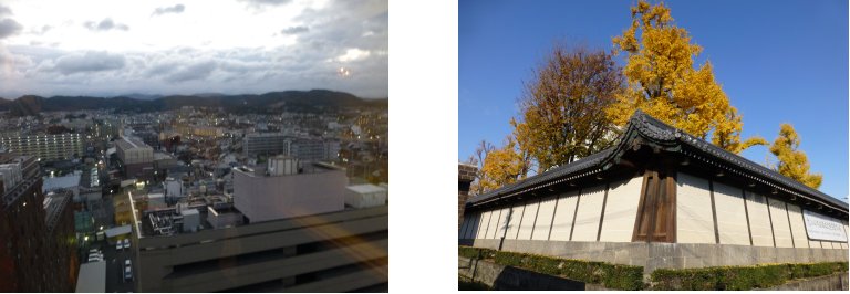 c0051620_6262749.jpg