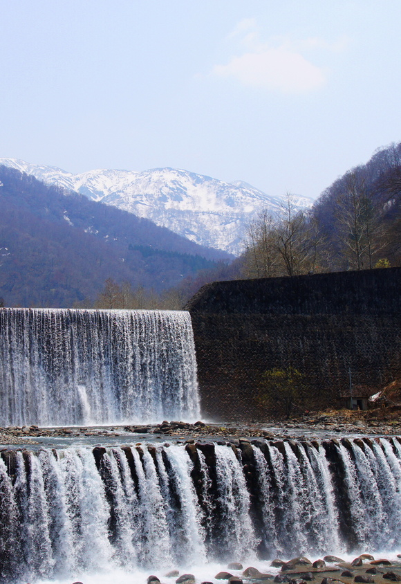 a0256923_2302256.jpg